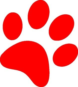 Uk Wildcat Paw Prints Best
