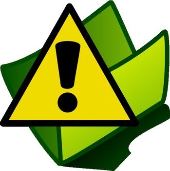 mark with a question mark on a background of green folder