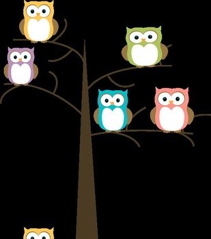 Owls In A Tree Image