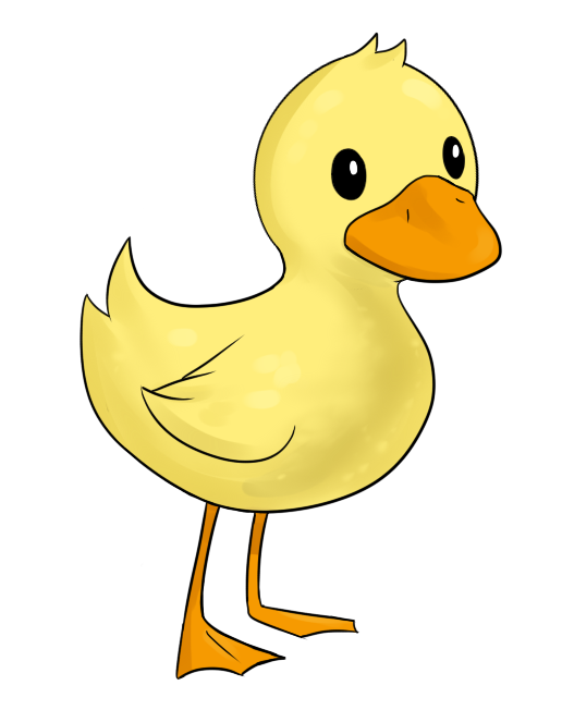 Cute Baby Duck Yellow Duckling free image download