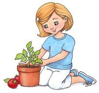 girl grows potted tomatoes