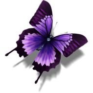 Similar Icons With These Tags Butterfly Animal Other