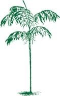 green tree Leaf drawing