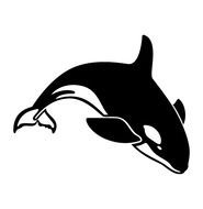 the black whale drawing