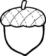 Acorn Black And White drawing