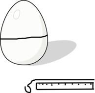 Egg Science At Clkercom Vector Online Royalty