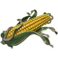 juicy corn drawing