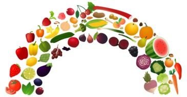 Clipart of the lots of healthy food