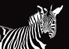 clipart of the zebra animal