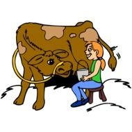 clipart of milking a cow