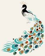 drawing of a peacock on a white background