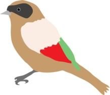 bird with colorful wings as a picture for clipart