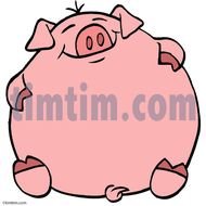 500 Internal Server Error N17