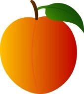 ripe Peach with leaf, drawing