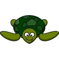 Cartoon green Turtle drawing
