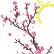 sun and Cherry Blossom drawing