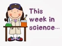 Teaching In The Fast Lane Peek At My Week November 10 2013