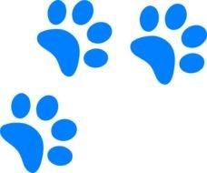 Small Paws drawing