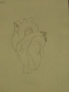 Heart Outline Sketch drawing