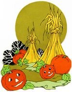 a picture of a pumpkin in a vegetable garden