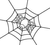 Halloween Spiders Pictures drawing