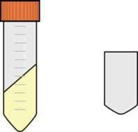 Tube Yellow Chemistry Science At Clkercom Vector