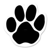 Paw Print drawing