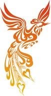 phoenix for tattoo