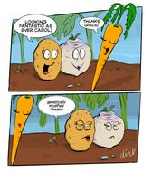 Turnip N Tuck Cartoon By Freelance Cartoonist Chris Williams Dink