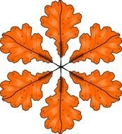 orange color oak Leaves, drawing