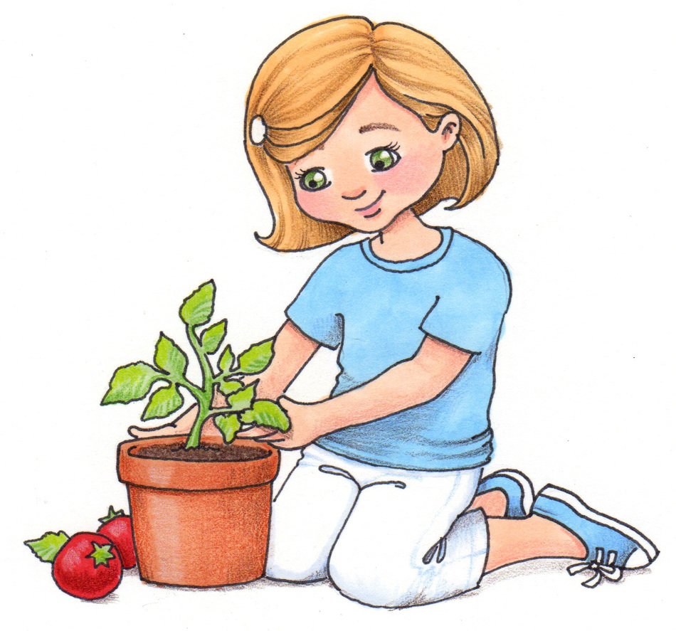 girl grows potted tomatoes