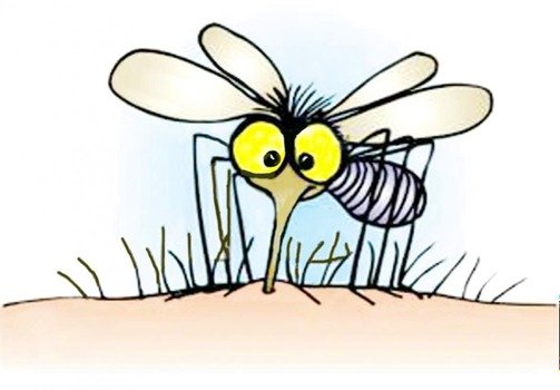 Mosquito Bite Itch Ross Lab