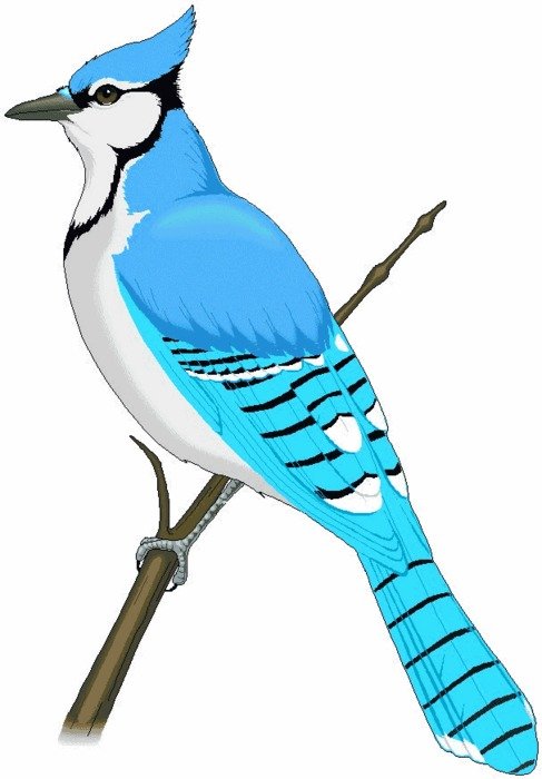 clipart of the blue Cartoon Beaver