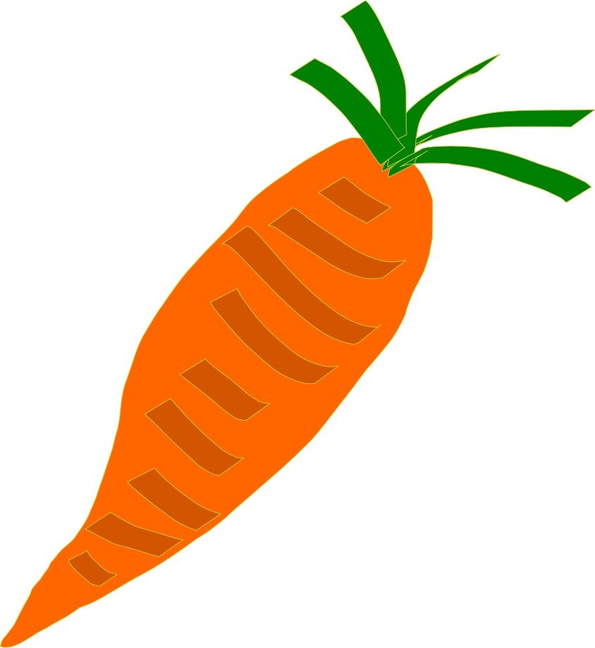 orange Vegetable drawing