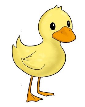 Cute Baby Duck Yellow Duckling