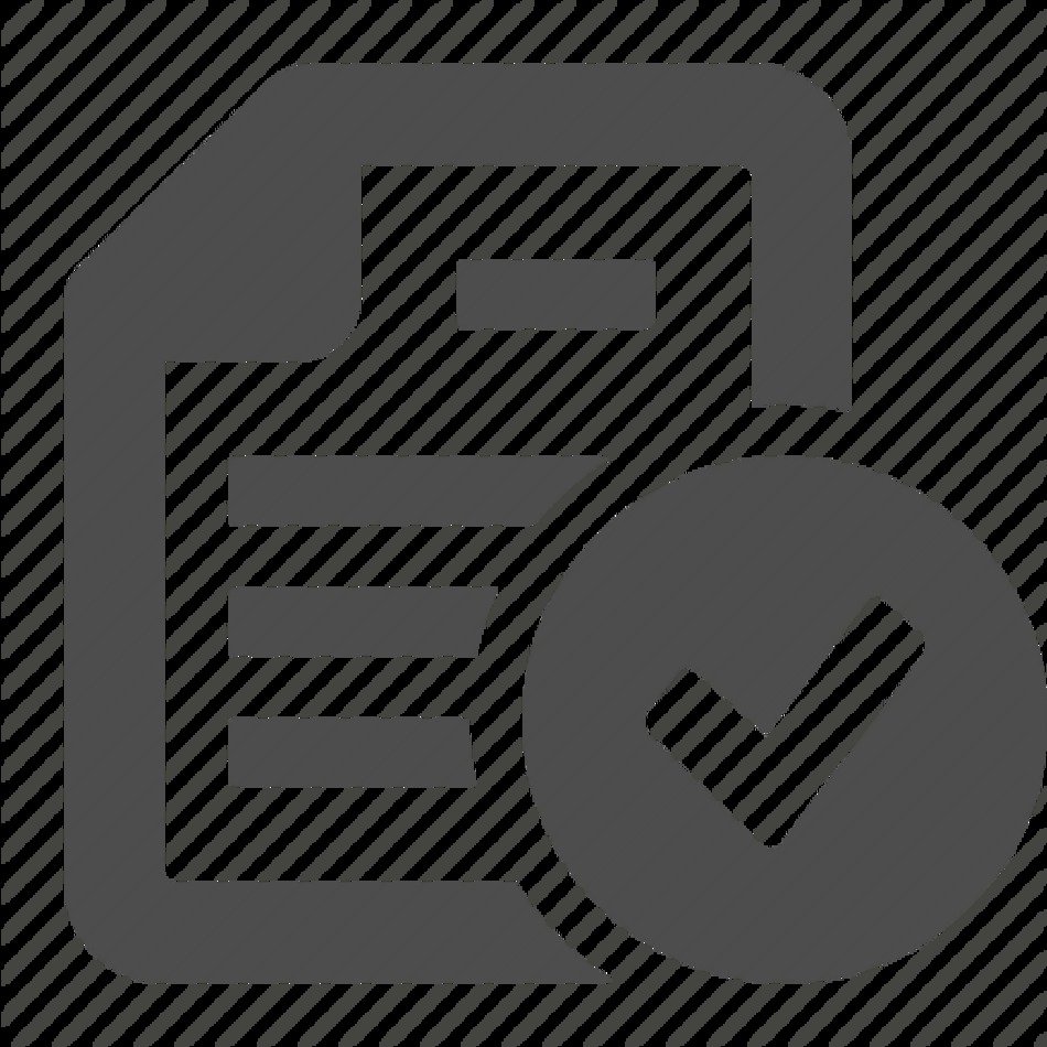 Check List Icon Business