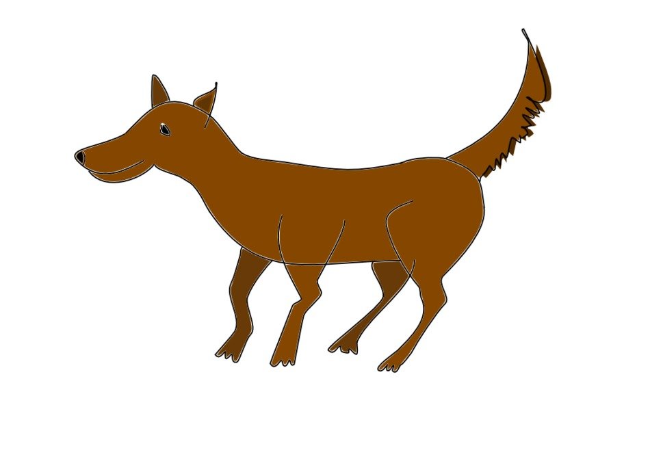 Pejsek Dog drawing