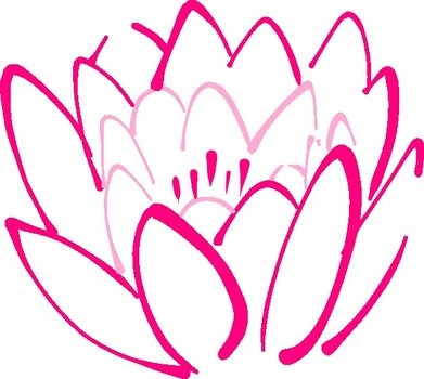 19 Flower Petals Frees That You Can Download To