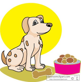 Dog Bowl