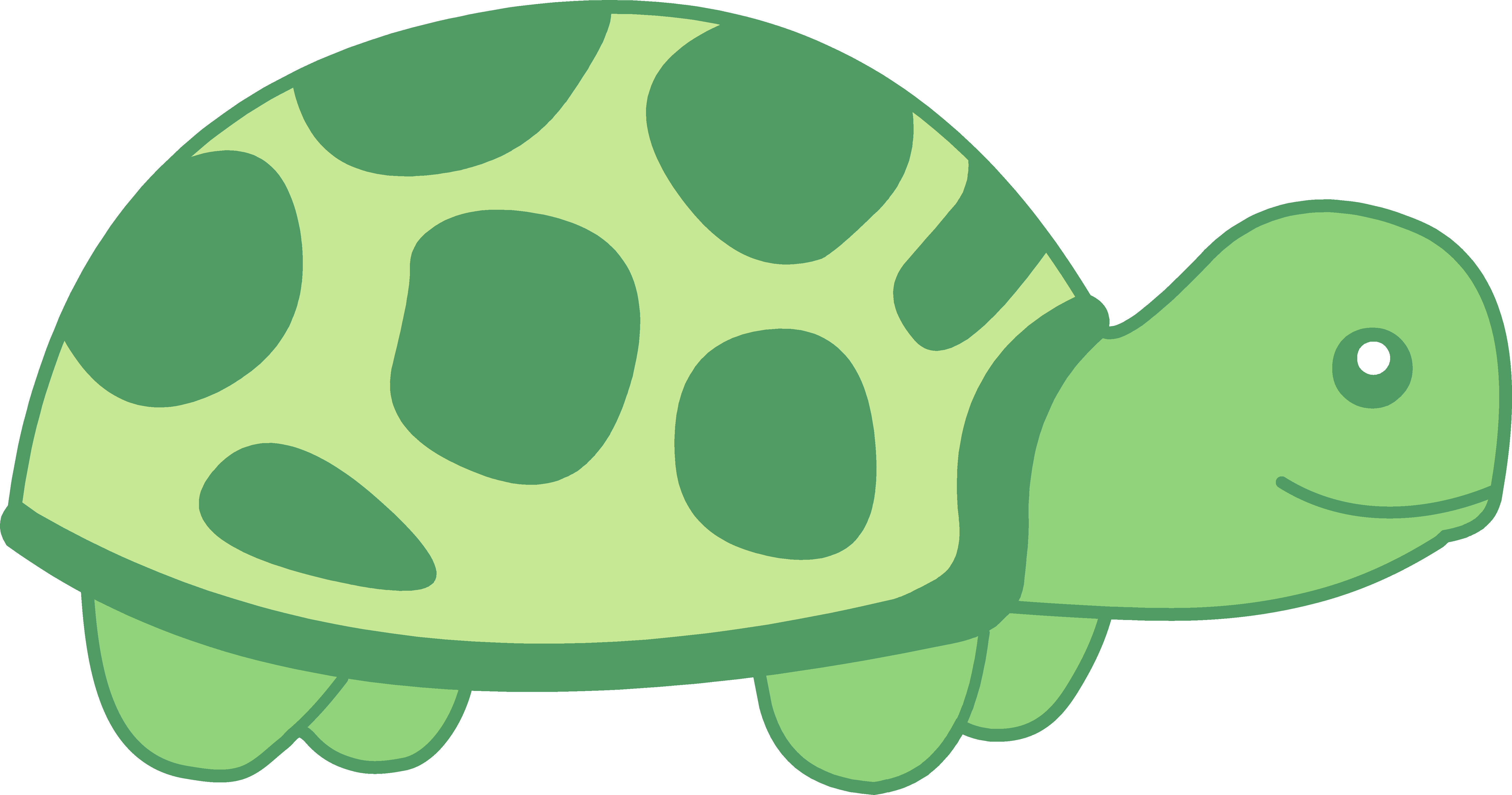 Cute Green Baby Turtle, drawing free image download