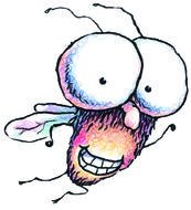 animated fly