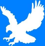Bald Eagle Wings drawing