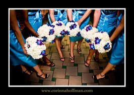 Jacksonville Zoo Weddings