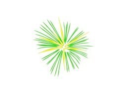 Beautiful colorful fireworks clipart