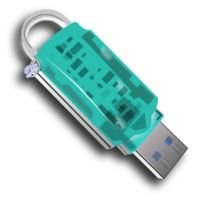 Usb Key Vector
