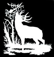 Whitetail Deer Outline