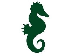 Seahorse For Preschoolers Panda Free