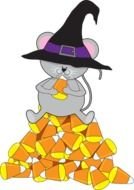 a mouse sits on a pile of pieces of cheese
