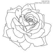 Tattoo rose drawing