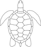 Turtle Outline At Clkercom Vector Online Royalty